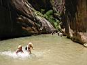 055_zion.jpg